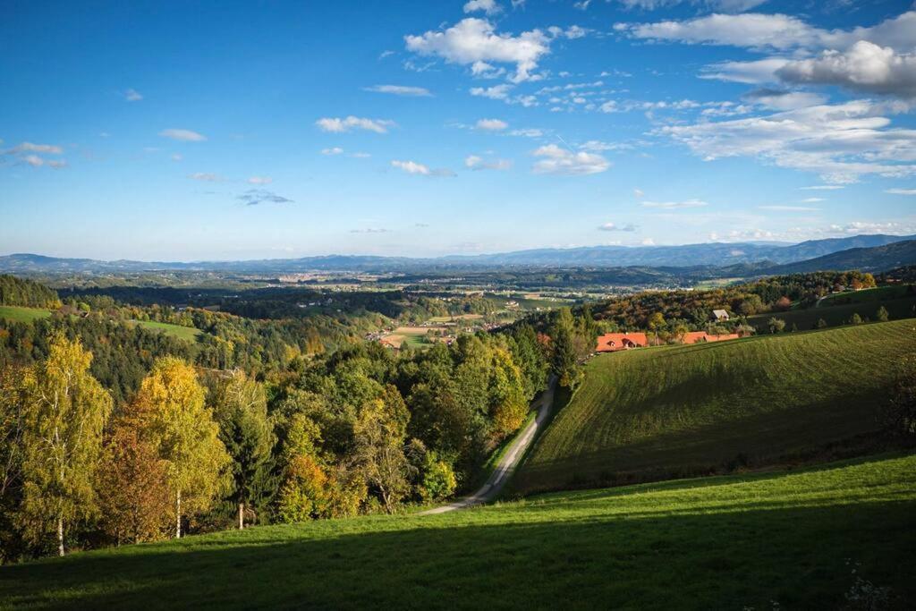 Chalet-Suedsteiermark - Traumhafte Aussicht, Infinity Pool, Privatsphaere, Klima Und De-Luxe Ausstattung Schwanberg Buitenkant foto